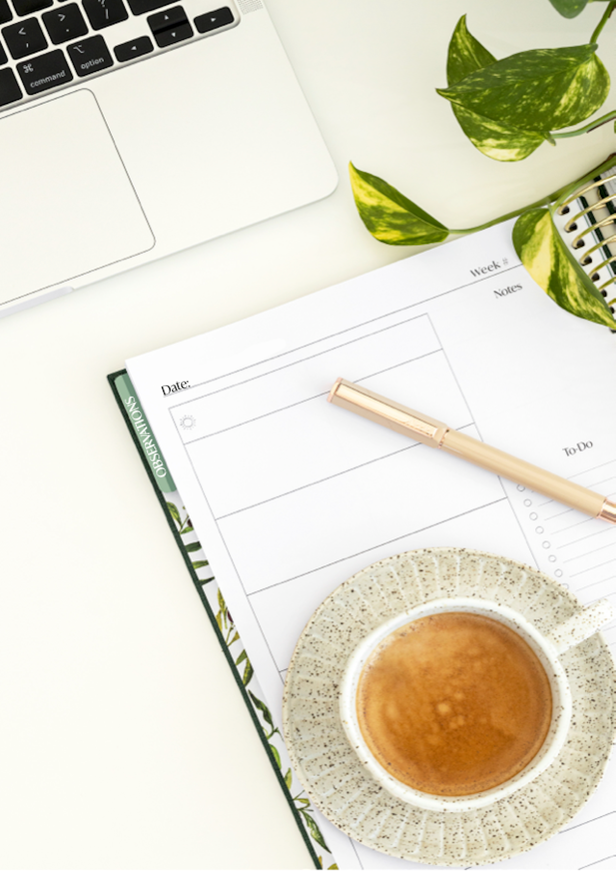 2026 Prac Teacher Planner | Lemon Buttercream