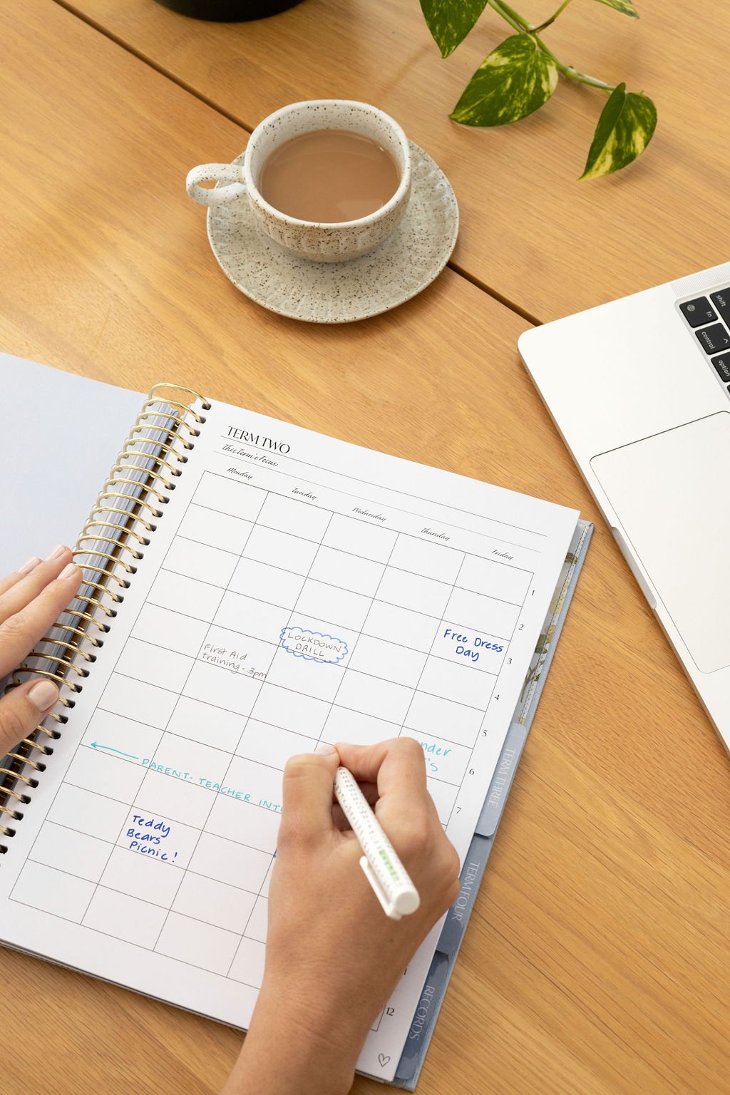 term_overview_planner.jpg